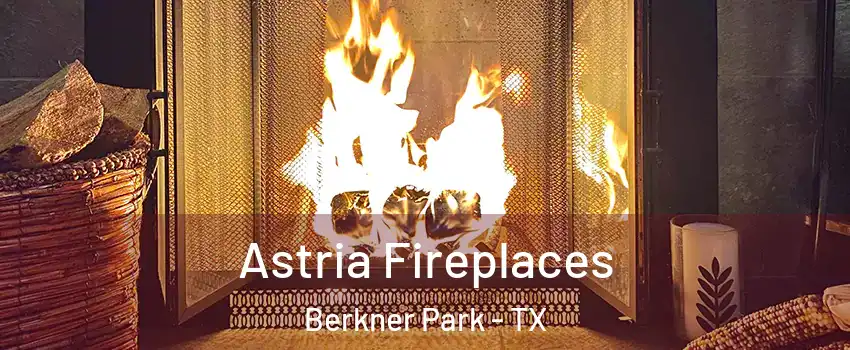 Astria Fireplaces Berkner Park - TX