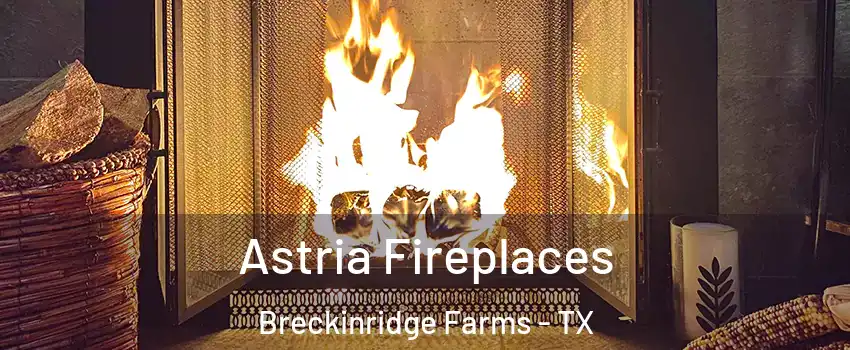 Astria Fireplaces Breckinridge Farms - TX