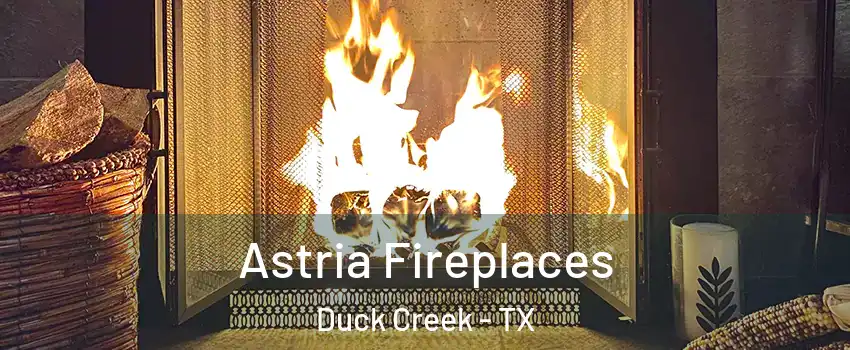 Astria Fireplaces Duck Creek - TX