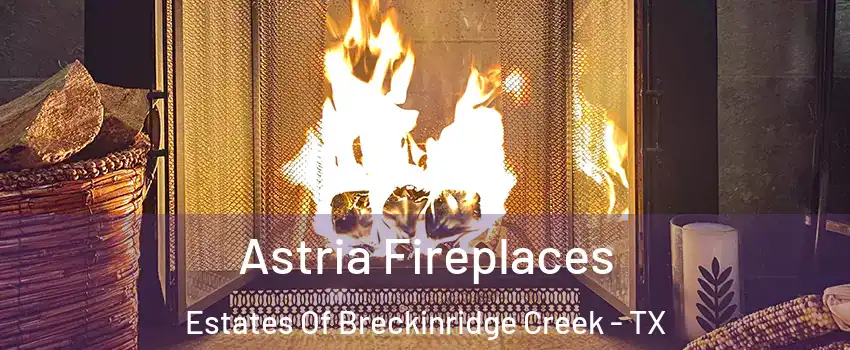 Astria Fireplaces Estates Of Breckinridge Creek - TX