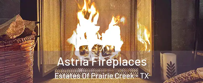Astria Fireplaces Estates Of Prairie Creek - TX
