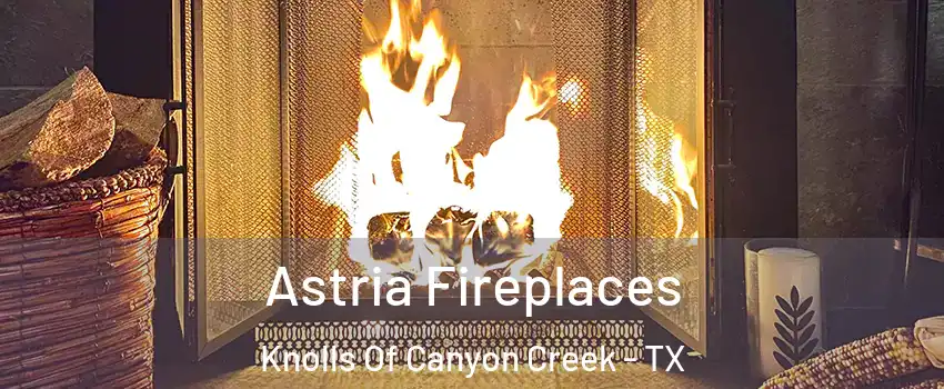 Astria Fireplaces Knolls Of Canyon Creek - TX