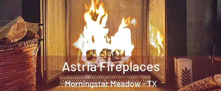 Astria Fireplaces Morningstar Meadow - TX