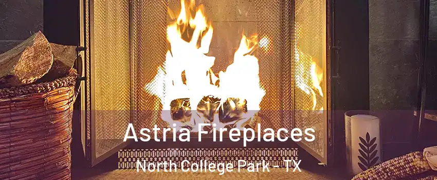 Astria Fireplaces North College Park - TX
