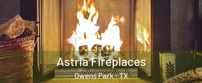 Astria Fireplaces Owens Park - TX