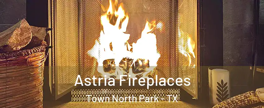 Astria Fireplaces Town North Park - TX