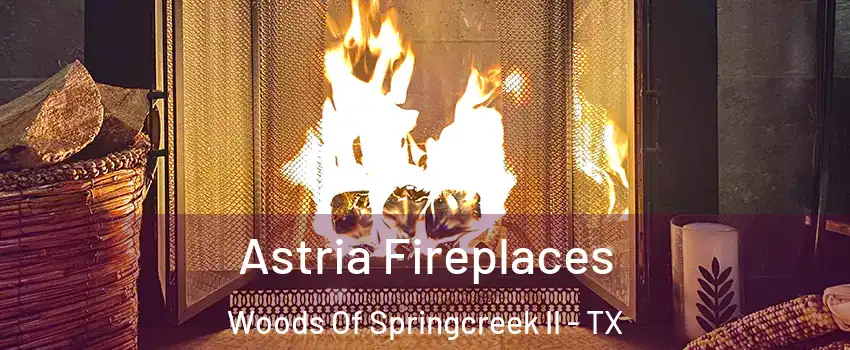 Astria Fireplaces Woods Of Springcreek II - TX