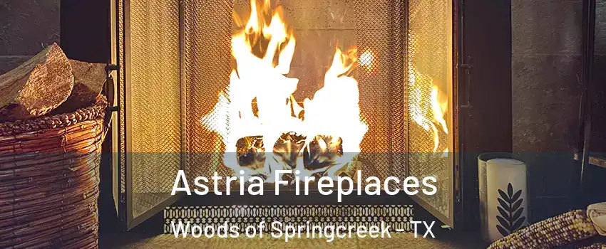 Astria Fireplaces Woods of Springcreek - TX