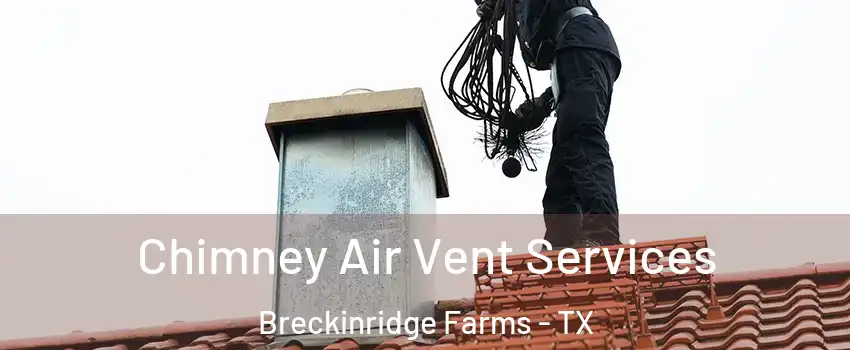 Chimney Air Vent Services Breckinridge Farms - TX
