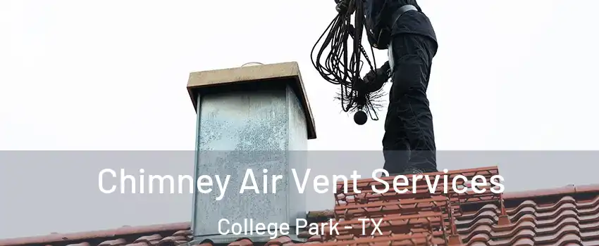 Chimney Air Vent Services College Park - TX