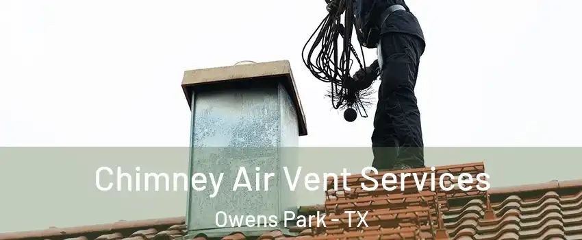 Chimney Air Vent Services Owens Park - TX