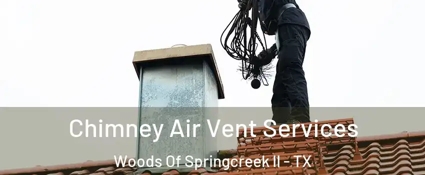 Chimney Air Vent Services Woods Of Springcreek II - TX