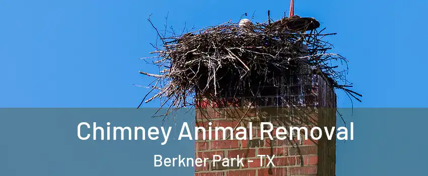 Chimney Animal Removal Berkner Park - TX