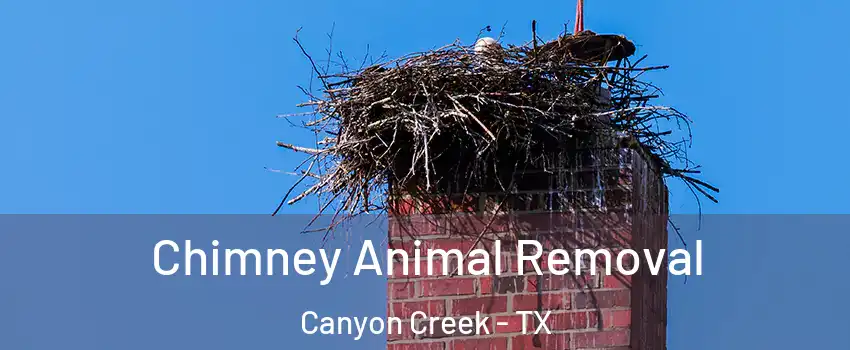Chimney Animal Removal Canyon Creek - TX