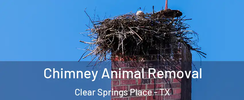Chimney Animal Removal Clear Springs Place - TX