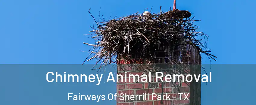 Chimney Animal Removal Fairways Of Sherrill Park - TX