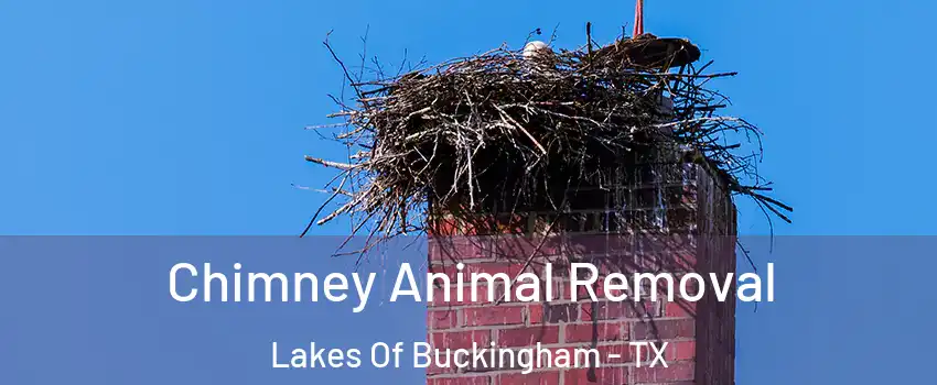 Chimney Animal Removal Lakes Of Buckingham - TX