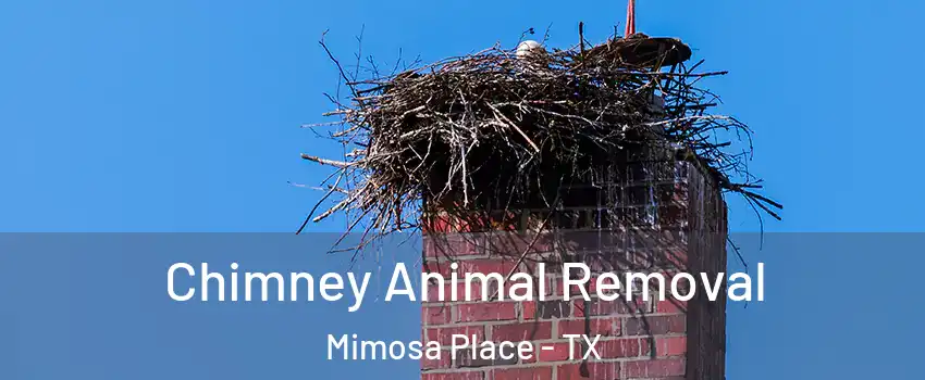 Chimney Animal Removal Mimosa Place - TX