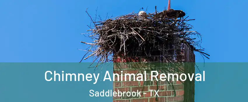 Chimney Animal Removal Saddlebrook - TX