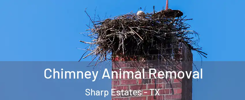 Chimney Animal Removal Sharp Estates - TX
