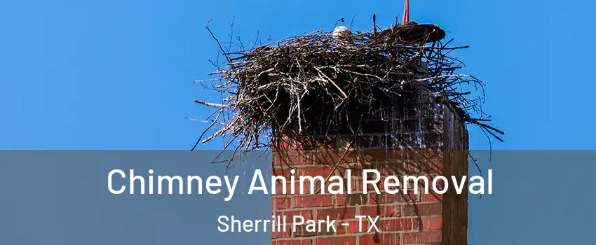 Chimney Animal Removal Sherrill Park - TX