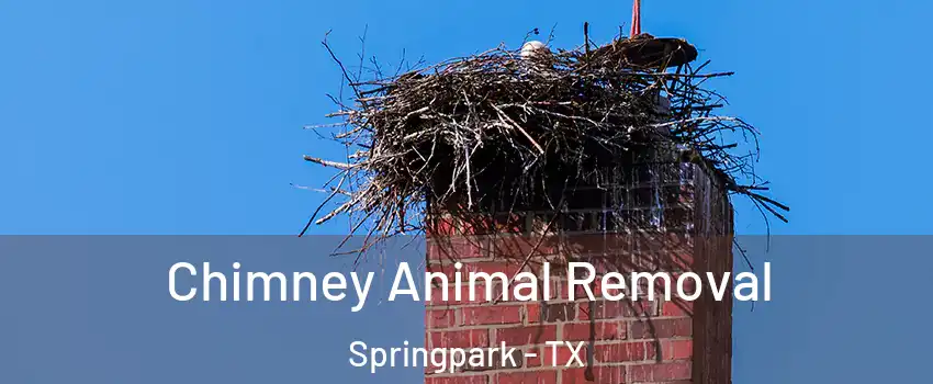 Chimney Animal Removal Springpark - TX