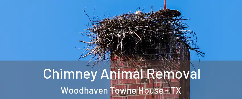 Chimney Animal Removal Woodhaven Towne House - TX