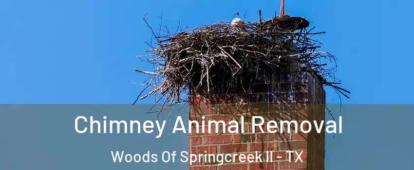 Chimney Animal Removal Woods Of Springcreek II - TX