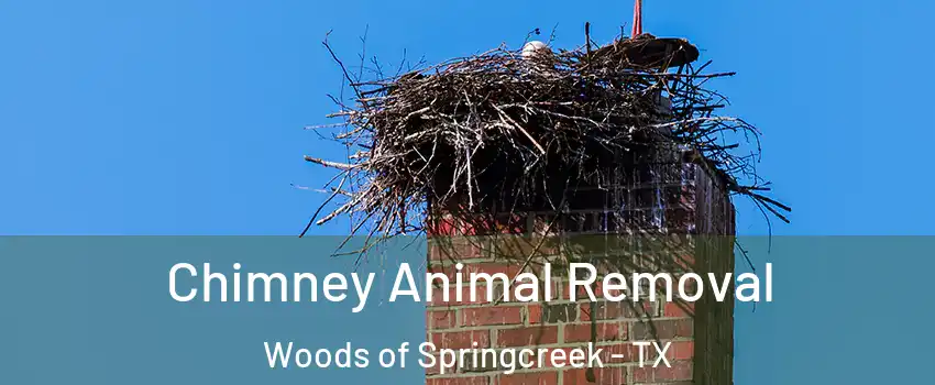 Chimney Animal Removal Woods of Springcreek - TX