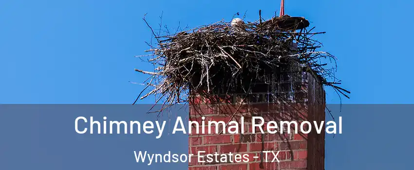 Chimney Animal Removal Wyndsor Estates - TX