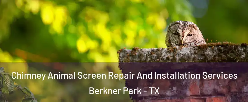 Chimney Animal Screen Repair And Installation Services Berkner Park - TX