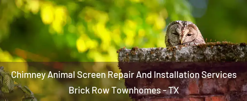 Chimney Animal Screen Repair And Installation Services Brick Row Townhomes - TX
