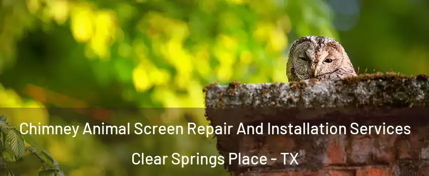Chimney Animal Screen Repair And Installation Services Clear Springs Place - TX
