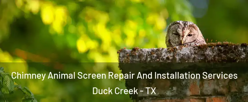 Chimney Animal Screen Repair And Installation Services Duck Creek - TX