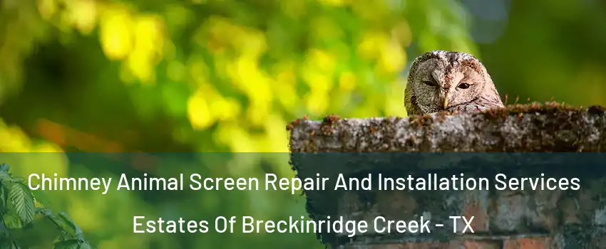 Chimney Animal Screen Repair And Installation Services Estates Of Breckinridge Creek - TX