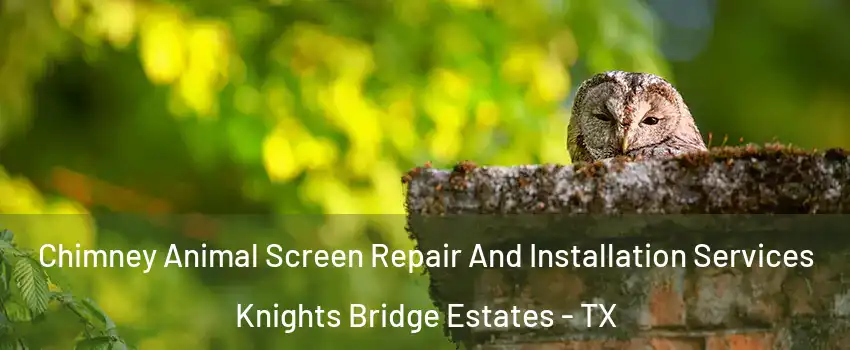 Chimney Animal Screen Repair And Installation Services Knights Bridge Estates - TX