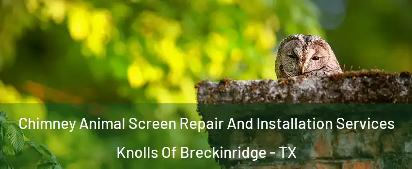 Chimney Animal Screen Repair And Installation Services Knolls Of Breckinridge - TX