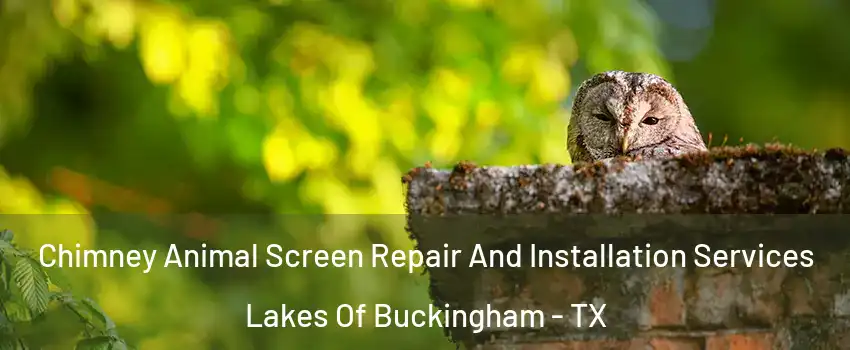 Chimney Animal Screen Repair And Installation Services Lakes Of Buckingham - TX