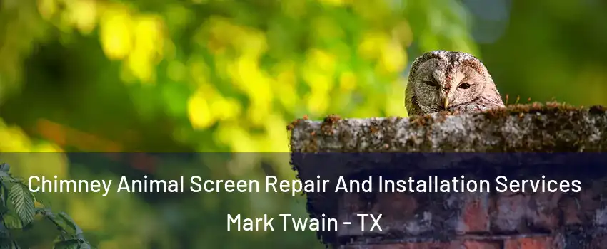 Chimney Animal Screen Repair And Installation Services Mark Twain - TX