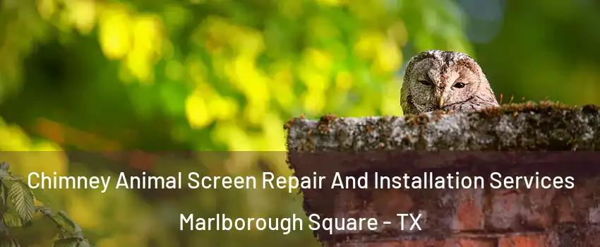 Chimney Animal Screen Repair And Installation Services Marlborough Square - TX
