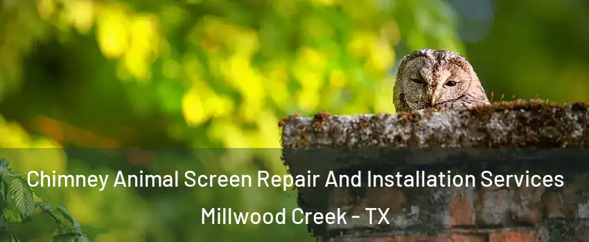 Chimney Animal Screen Repair And Installation Services Millwood Creek - TX