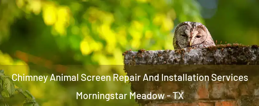 Chimney Animal Screen Repair And Installation Services Morningstar Meadow - TX