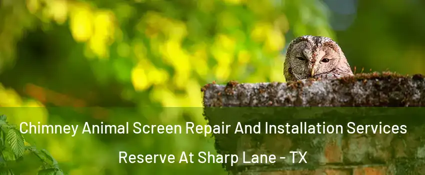 Chimney Animal Screen Repair And Installation Services Reserve At Sharp Lane - TX