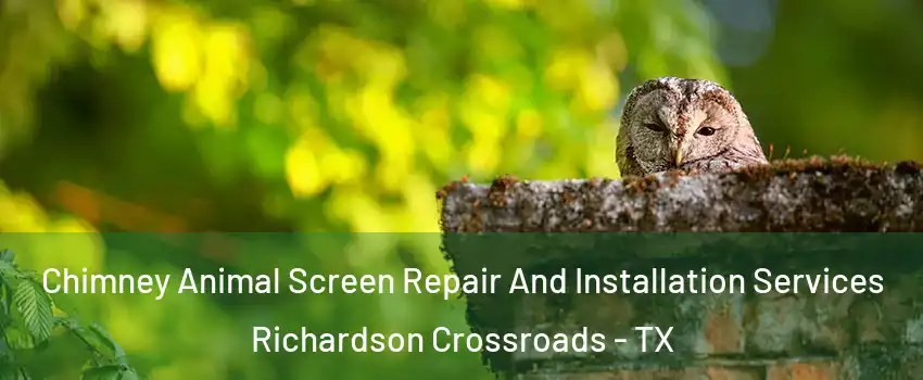 Chimney Animal Screen Repair And Installation Services Richardson Crossroads - TX