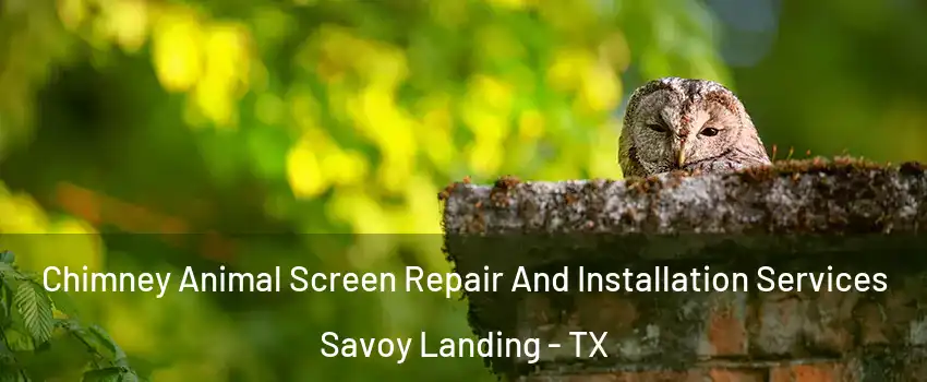 Chimney Animal Screen Repair And Installation Services Savoy Landing - TX