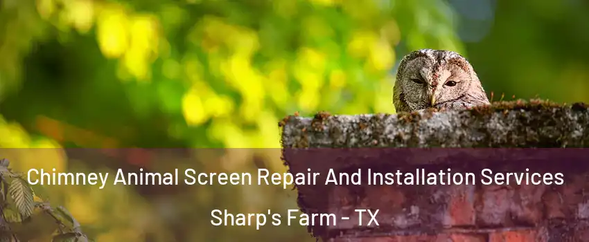Chimney Animal Screen Repair And Installation Services Sharp's Farm - TX
