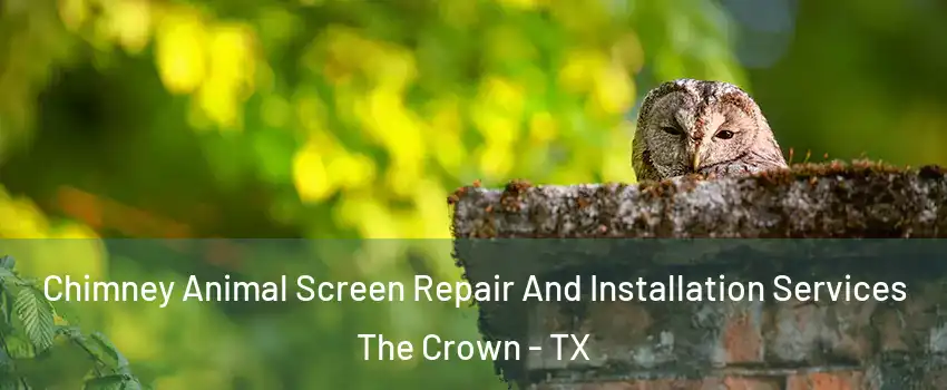 Chimney Animal Screen Repair And Installation Services The Crown - TX