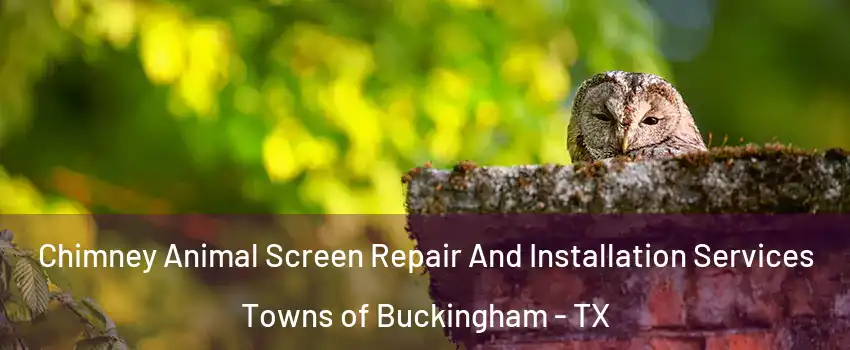 Chimney Animal Screen Repair And Installation Services Towns of Buckingham - TX