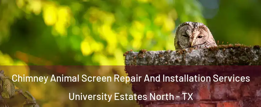 Chimney Animal Screen Repair And Installation Services University Estates North - TX