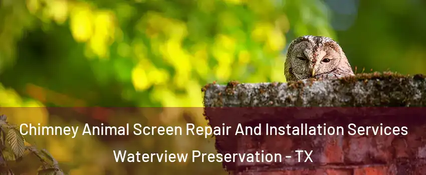 Chimney Animal Screen Repair And Installation Services Waterview Preservation - TX